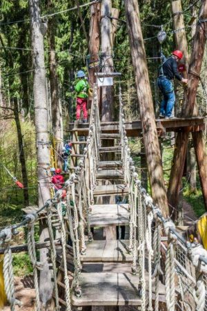 Hochseilgarten und Kletterwald in Biberach | Blogbeitrag | Hotel Adler