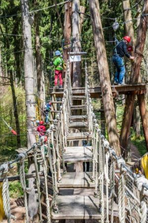 Hochseil- und Klettergarten | Blogbeitrag | Hotel Adler